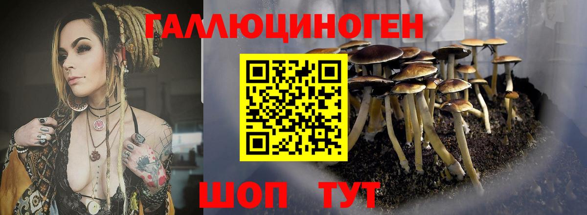 Псилоцибиновые грибы GOLDEN TEACHER  Вход с VPN  Галлюциногенные грибы Magic Shrooms  где купить наркоту  Ливны 